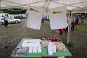 IMG_0416 (2)